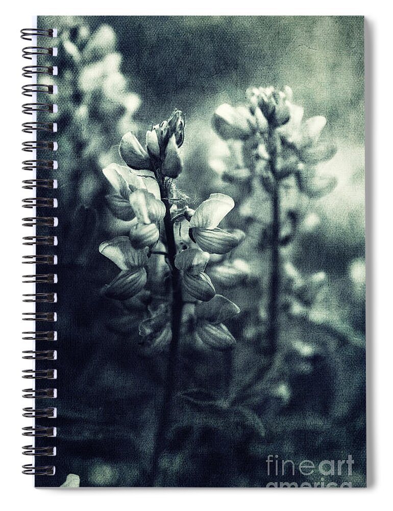 Monochromatic Spiral Notebook featuring the photograph Arctic Lupines by Priska Wettstein