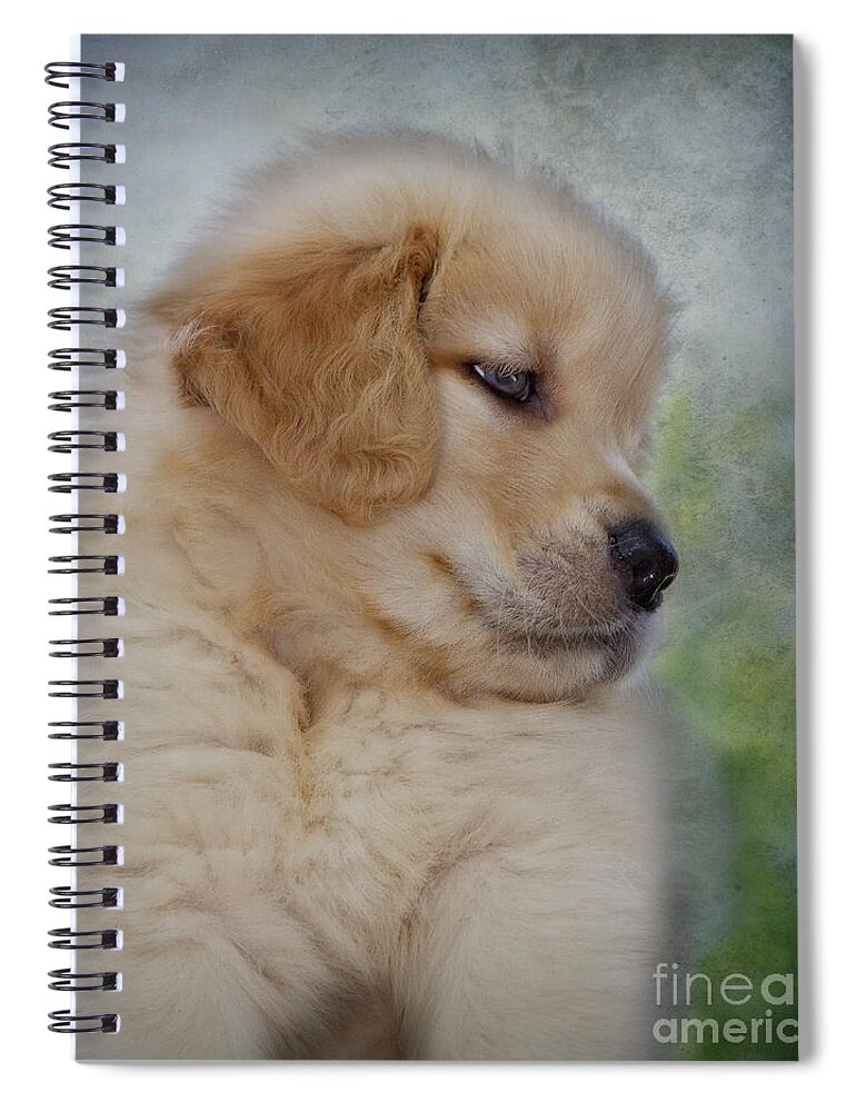 Golden Retriever Spiral Notebook featuring the photograph Fluffy Golden Puppy by Susan Candelario