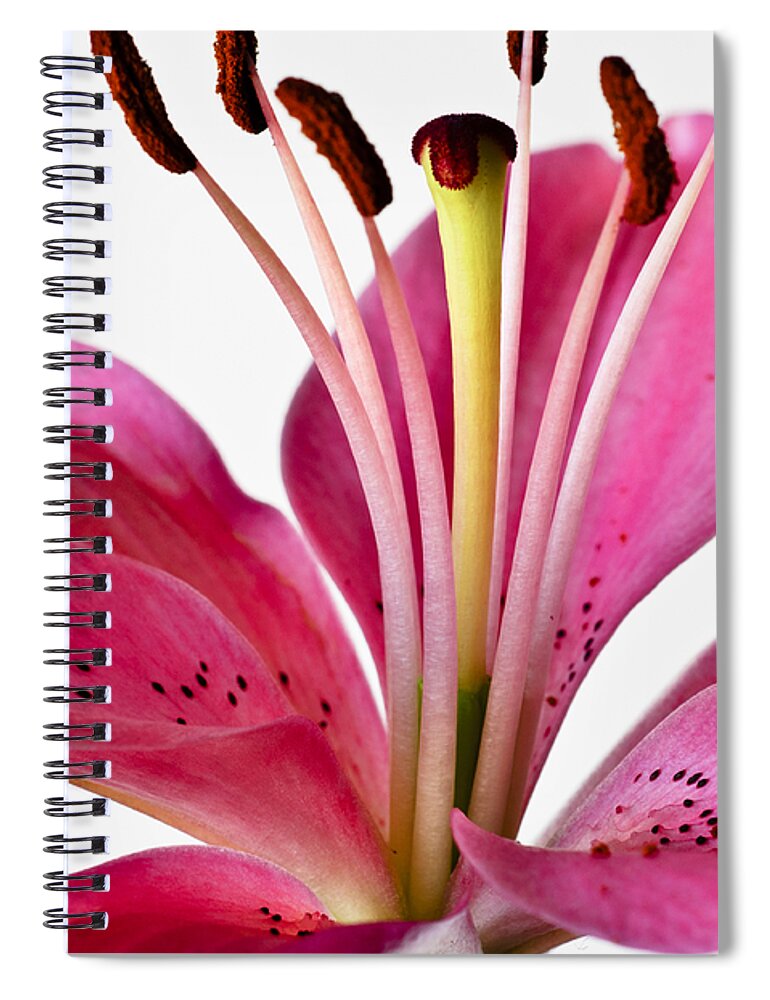 Bloom Spiral Notebook featuring the photograph Fluttering Lily by Christi Kraft