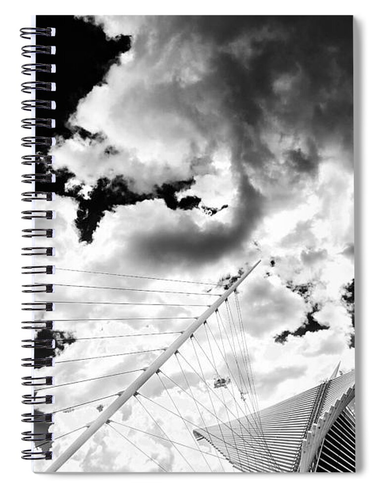 Www.cjschmit.com Spiral Notebook featuring the photograph Fly Free by CJ Schmit