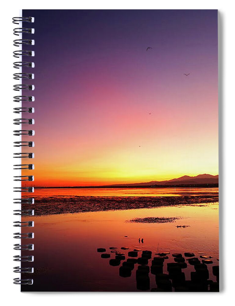 Tranquility Spiral Notebook featuring the photograph Flying Birds Into The Rays At Dusk by Thunderbolt tw (bai Heng-yao) Photography