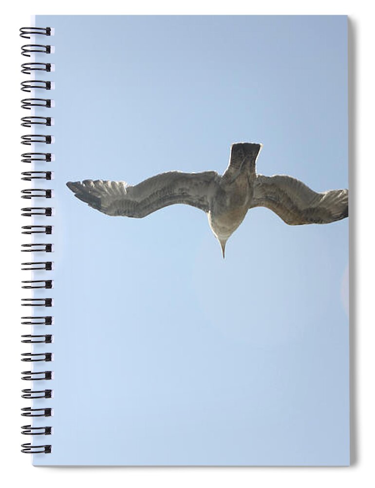 Flying Spiral Notebook featuring the photograph Flying Free by Diana Haronis