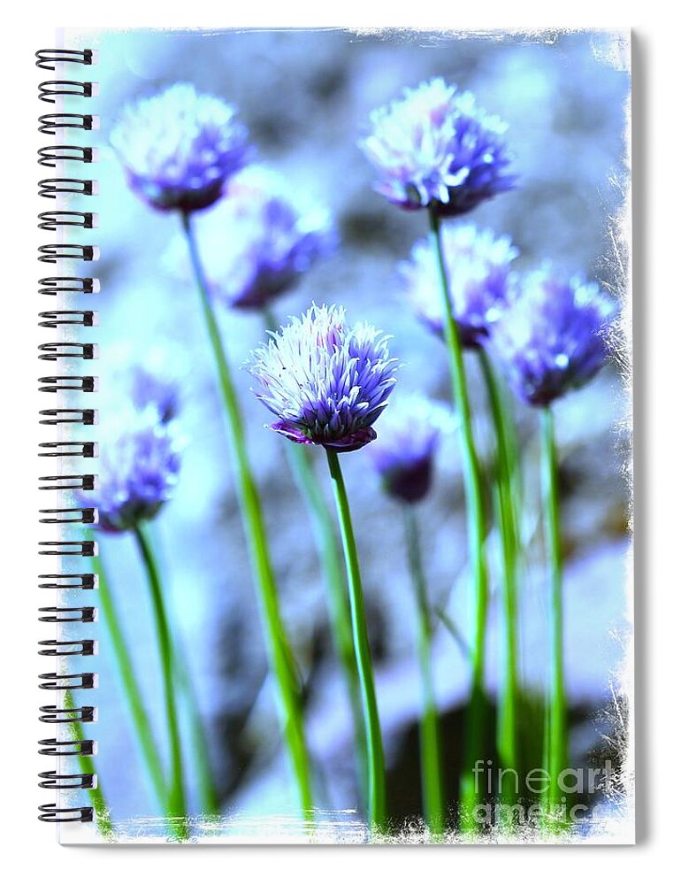 Chive Spiral Notebook featuring the photograph Focus on One Chive with Border by Carol Groenen