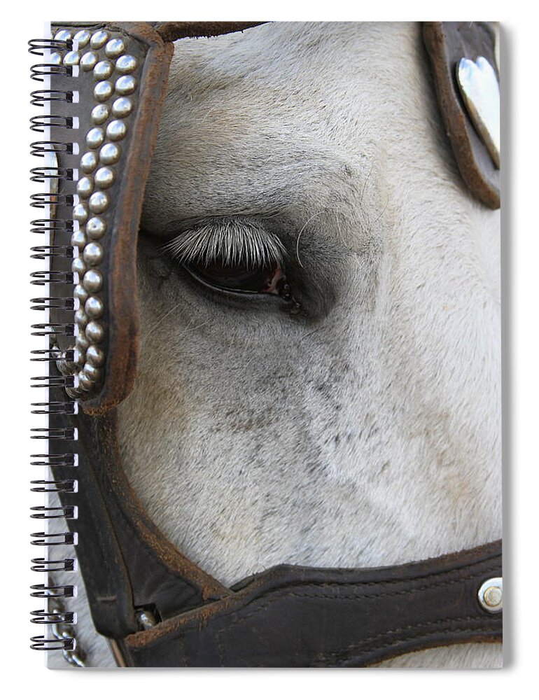 Horse Spiral Notebook featuring the photograph Focused on Pulling by Laddie Halupa