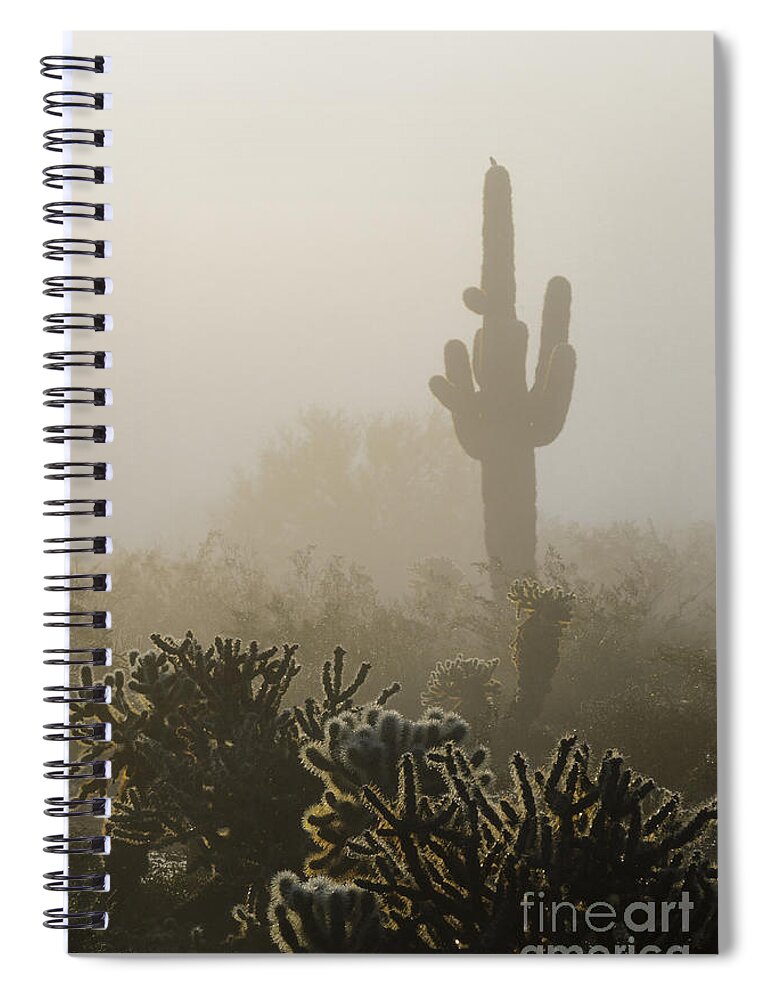 Fog Spiral Notebook featuring the photograph Foggy Desert by Tamara Becker