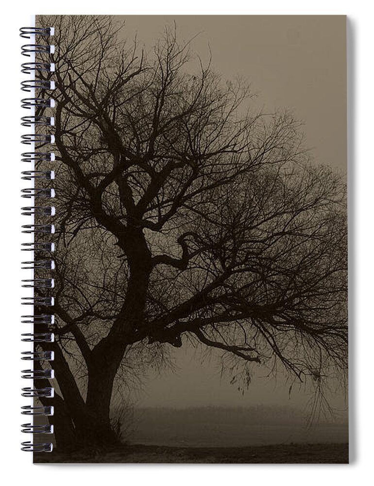 Fog Spiral Notebook featuring the photograph Foggy Morning by Jonathan Davison