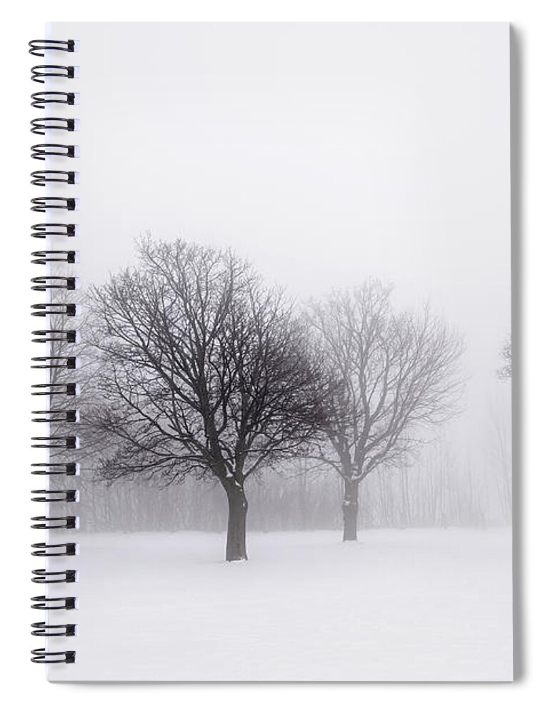 Trees Spiral Notebook featuring the photograph Foggy park with winter trees by Elena Elisseeva
