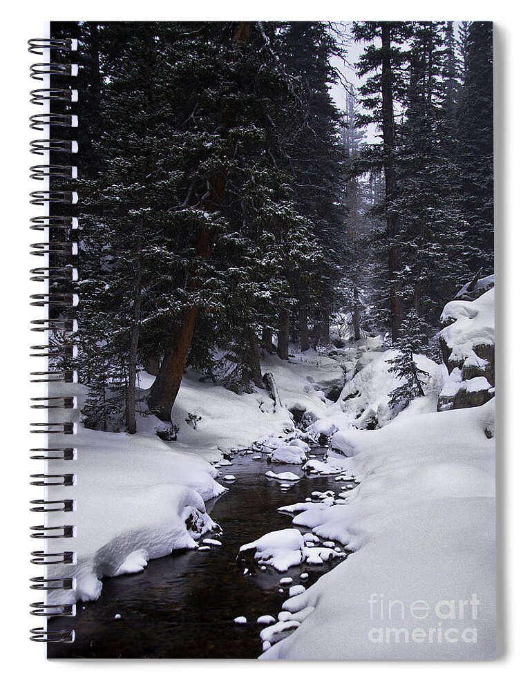 Landscape Spiral Notebook featuring the photograph Follow the Creek by Steven Reed
