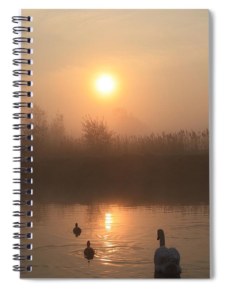 Nature Spiral Notebook featuring the photograph Follow Us by Linsey Williams