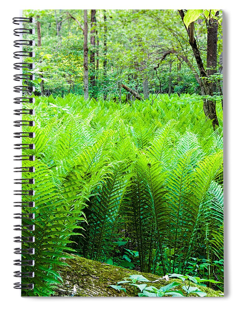 Michigan Spiral Notebook featuring the photograph Forest Ferns  by Lars Lentz