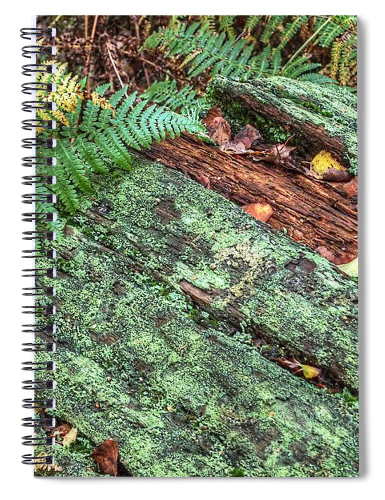 Forest Floor Spiral Notebook featuring the photograph Forest Floor Moss and Ferns by Gill Billington