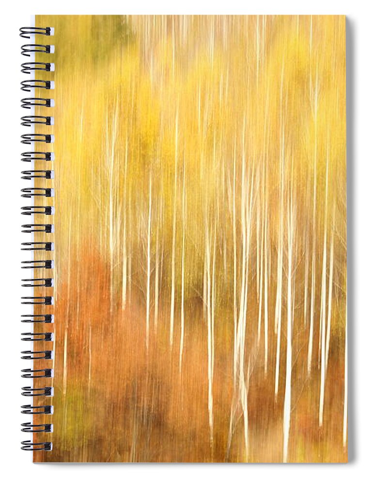 Tranquility Spiral Notebook featuring the photograph Forest Of Birch by Penboy