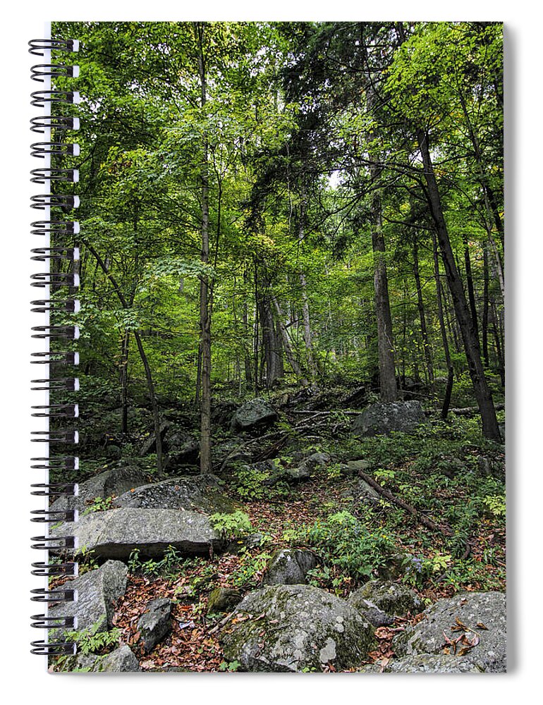 Great Smokey Mountains National Park Spiral Notebook featuring the photograph Forest Peace and Tranquility by Kathy Clark
