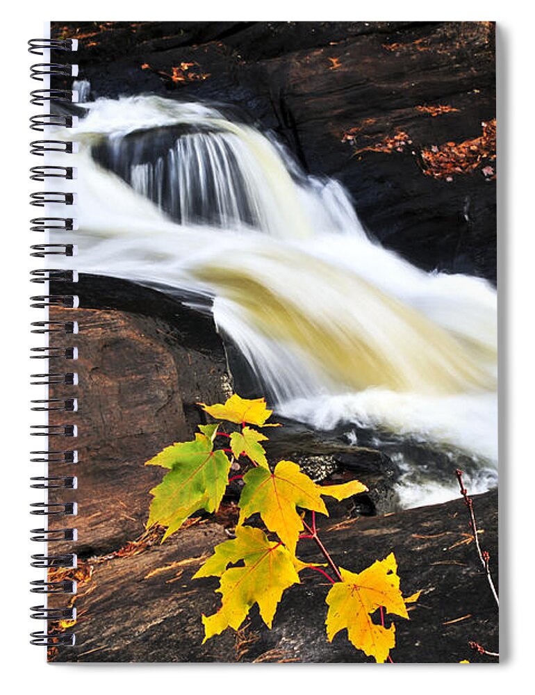 Autumn Spiral Notebook featuring the photograph Forest river in the fall by Elena Elisseeva