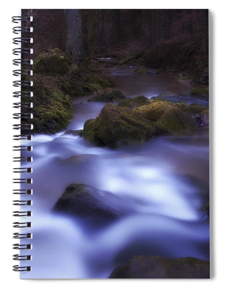 Forest Spiral Notebook featuring the photograph Forest Waters by Miguel Winterpacht