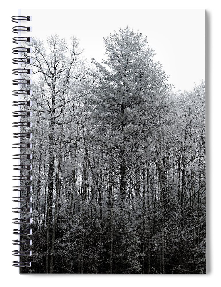 Landscape Spiral Notebook featuring the photograph Forest With Freezing Fog by Daniel Reed