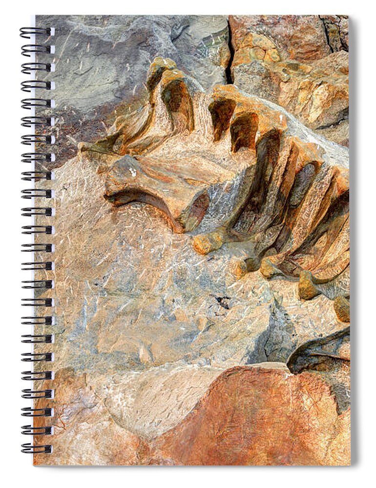 Fossil Spiral Notebook featuring the photograph Fossilized Dinosaur Ribs - Dinosaur National National Monument by Gary Whitton