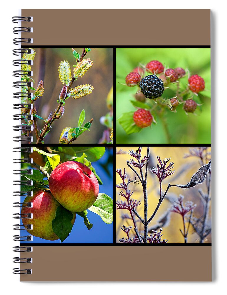 Plants Spiral Notebook featuring the photograph Seasonal Plants Square by Christina Rollo