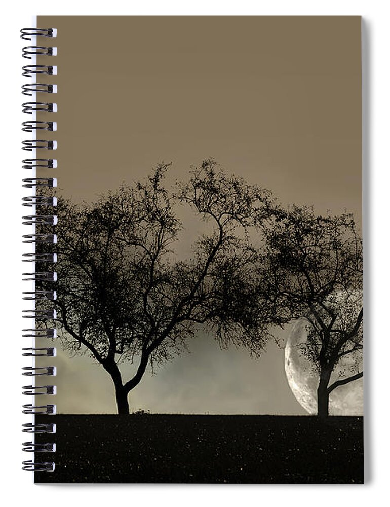 Trees Spiral Notebook featuring the photograph Four Trees and a Moon by Ann Bridges