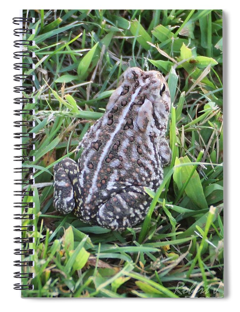 Nature Spiral Notebook featuring the photograph Fowler's Toad in Grass by Robert Banach