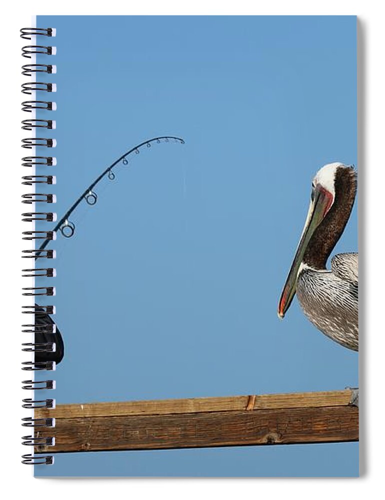 Wild Spiral Notebook featuring the photograph Free Dinner by Christy Pooschke