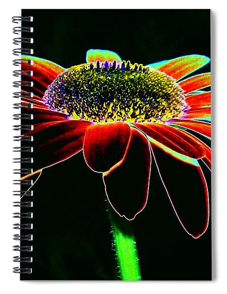 Daisy Spiral Notebook featuring the photograph Friday Night Daisy by Jacqueline McReynolds