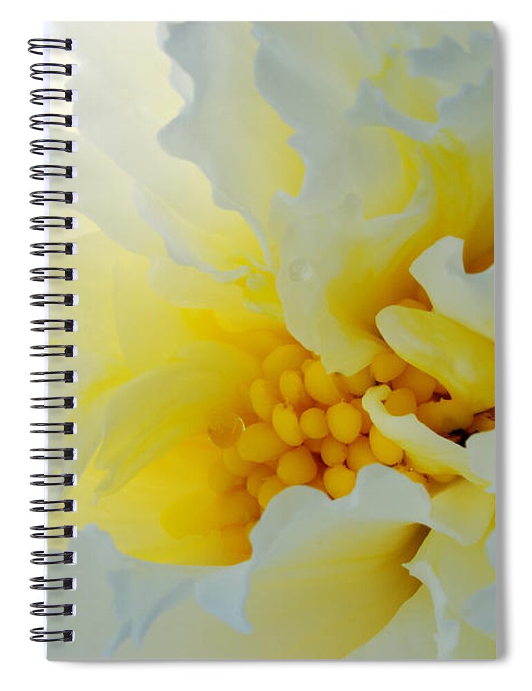 Frilling Spiral Notebook featuring the photograph Frilling by Wendy Wilton