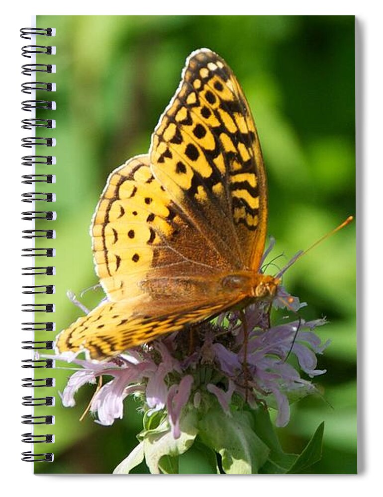 Butterfly Spiral Notebook featuring the photograph Frittillary and Pink Bee Balm by Kristin Hatt