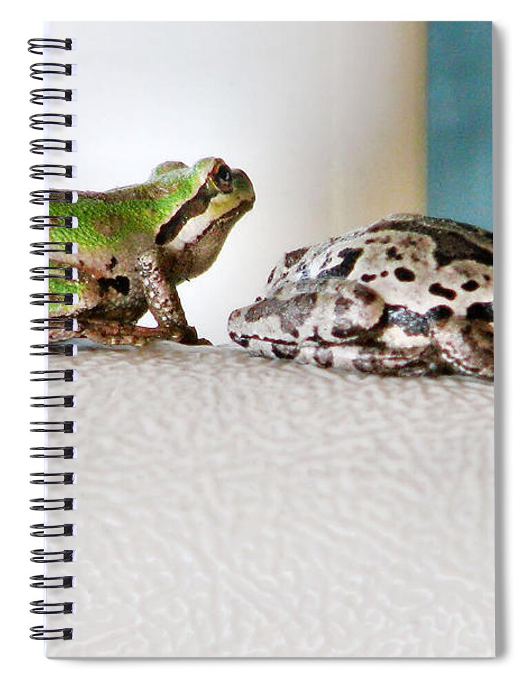 Frog Spiral Notebook featuring the photograph Frog Flatulence - A Case Study by Rory Siegel
