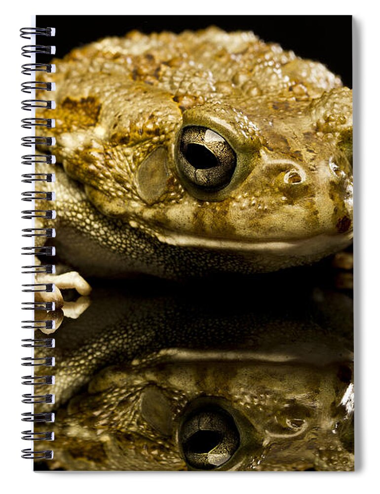 Frog Spiral Notebook featuring the photograph Frog by Gunnar Orn Arnason