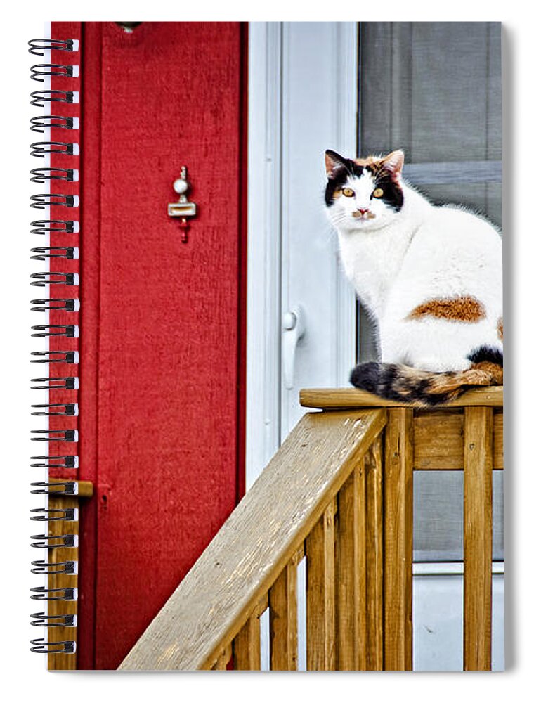 Cat Spiral Notebook featuring the photograph Front Porch Cat by Donna Doherty