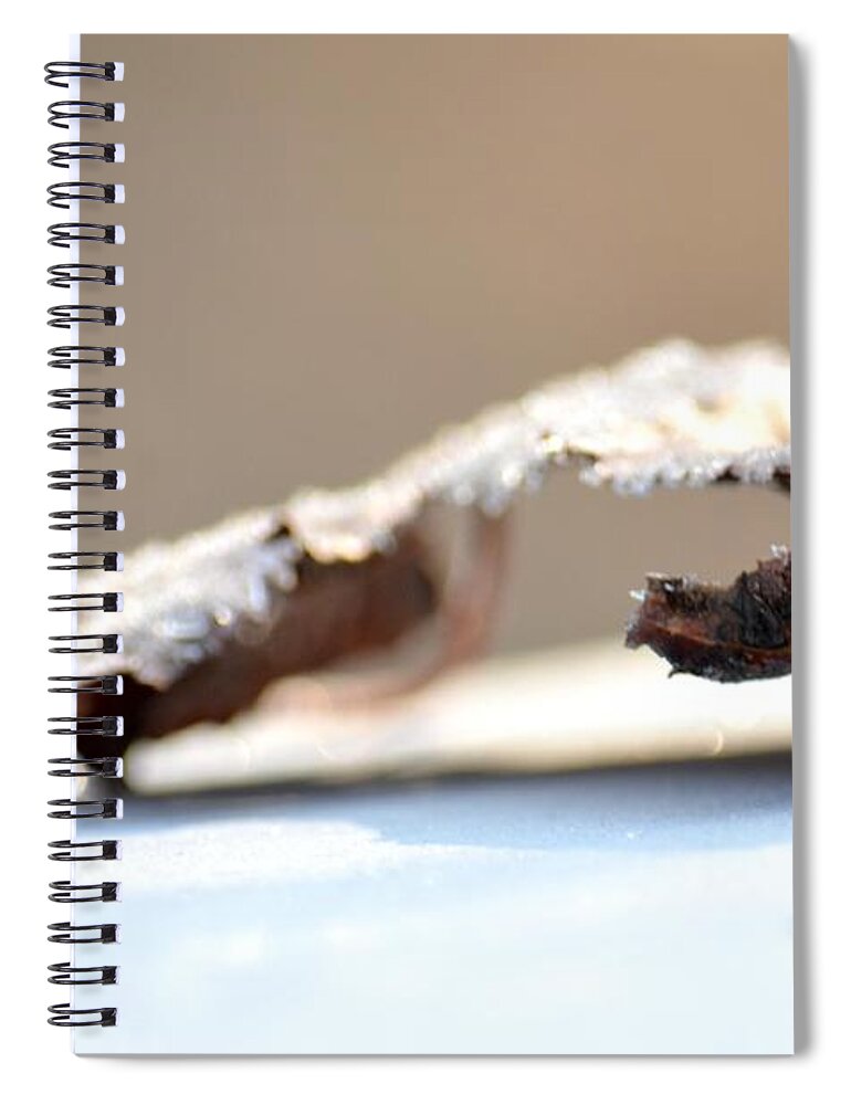 Frosted Leaf Abstract Spiral Notebook featuring the photograph Frosted Leaf Abstract by Maria Urso