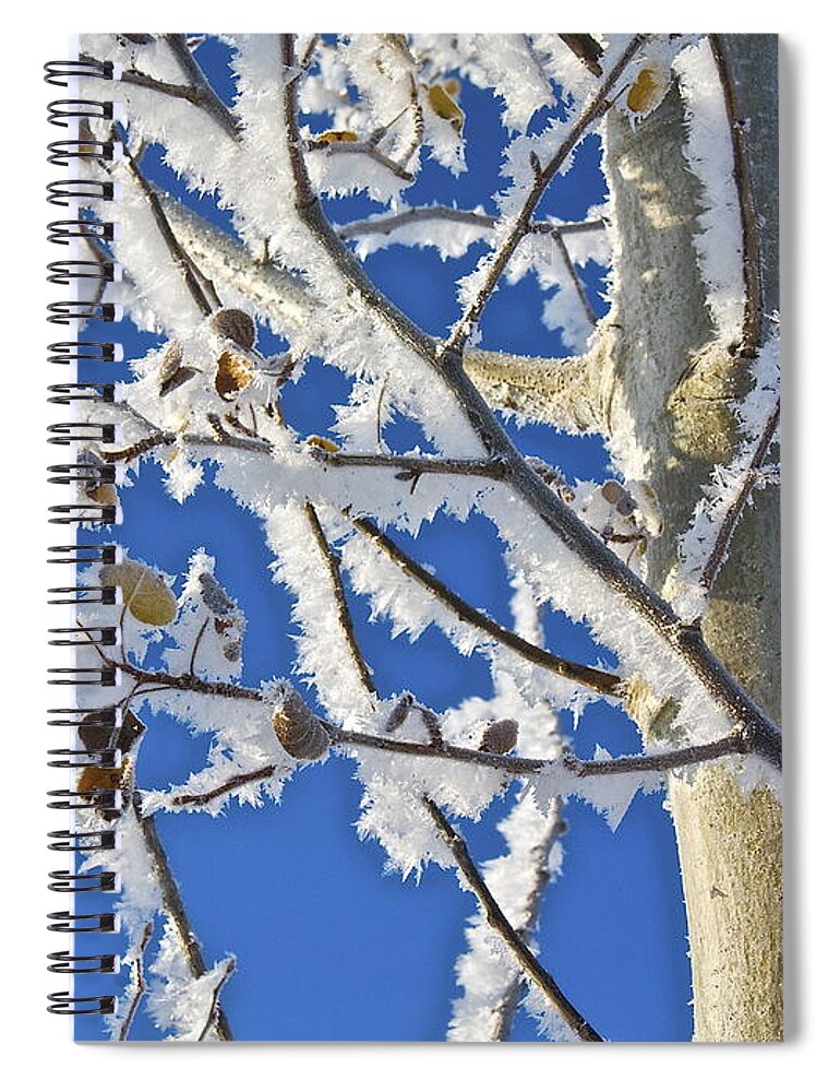 Frost Spiral Notebook featuring the photograph Frosted Tree by Linda Bianic