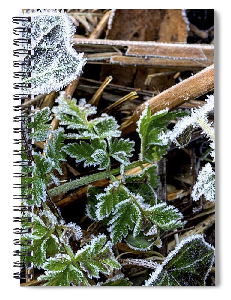 Frost Spiral Notebook featuring the photograph Frosty by Spikey Mouse Photography