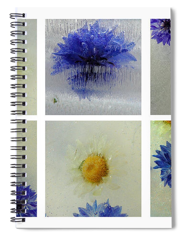 Frozen Ice Blue Flowers Icy Macro Collage Spiral Notebook featuring the photograph Frozen Blue by Randi Grace Nilsberg