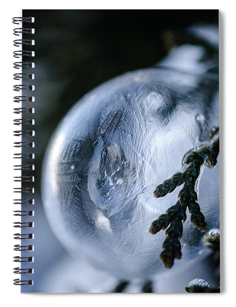Bubble Spiral Notebook featuring the photograph Frozen Bubble on a Pine Tree by Crystal Wightman