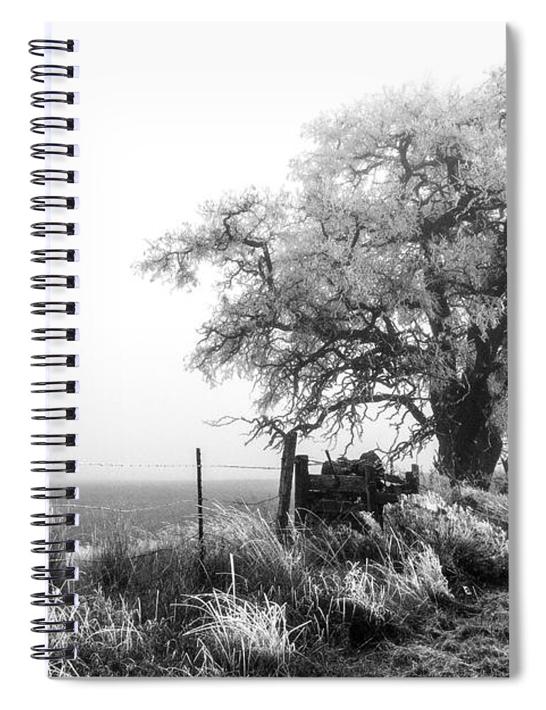 Frozen By Fog Spiral Notebook featuring the photograph Frozen By Fog by Wes and Dotty Weber