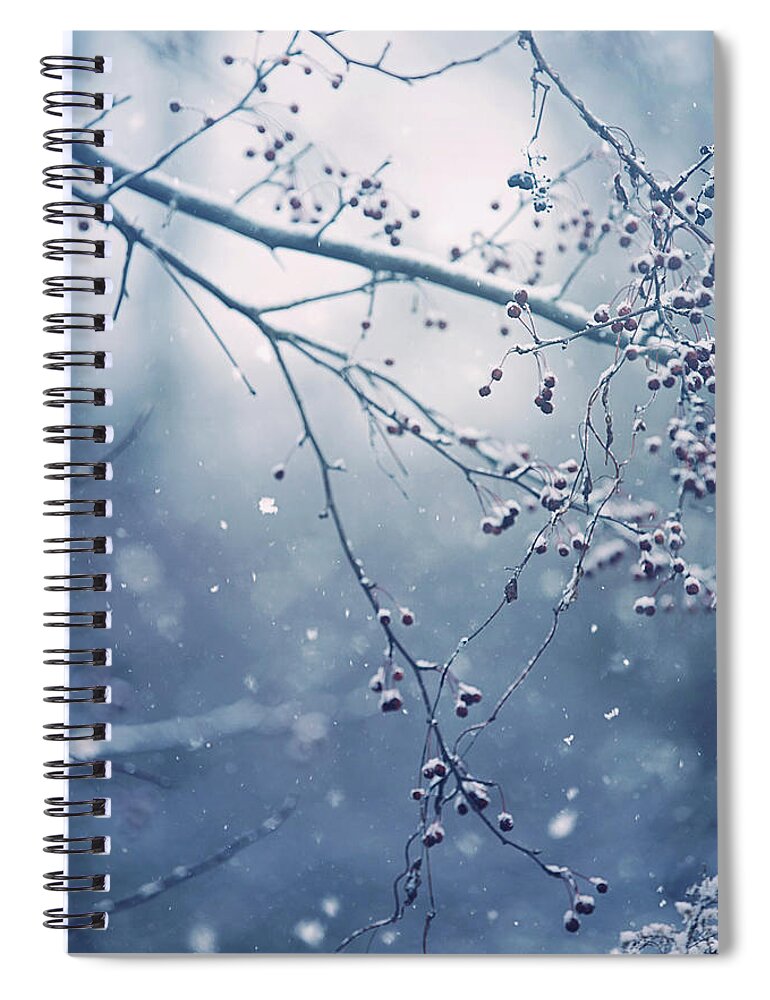 Snow Spiral Notebook featuring the photograph Frozen In Time by Carrie Ann Grippo-Pike