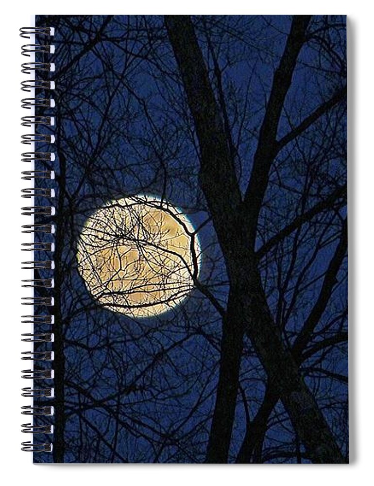 Full Moon Spiral Notebook featuring the photograph Full Moon March 15 2014 by Michael Saunders