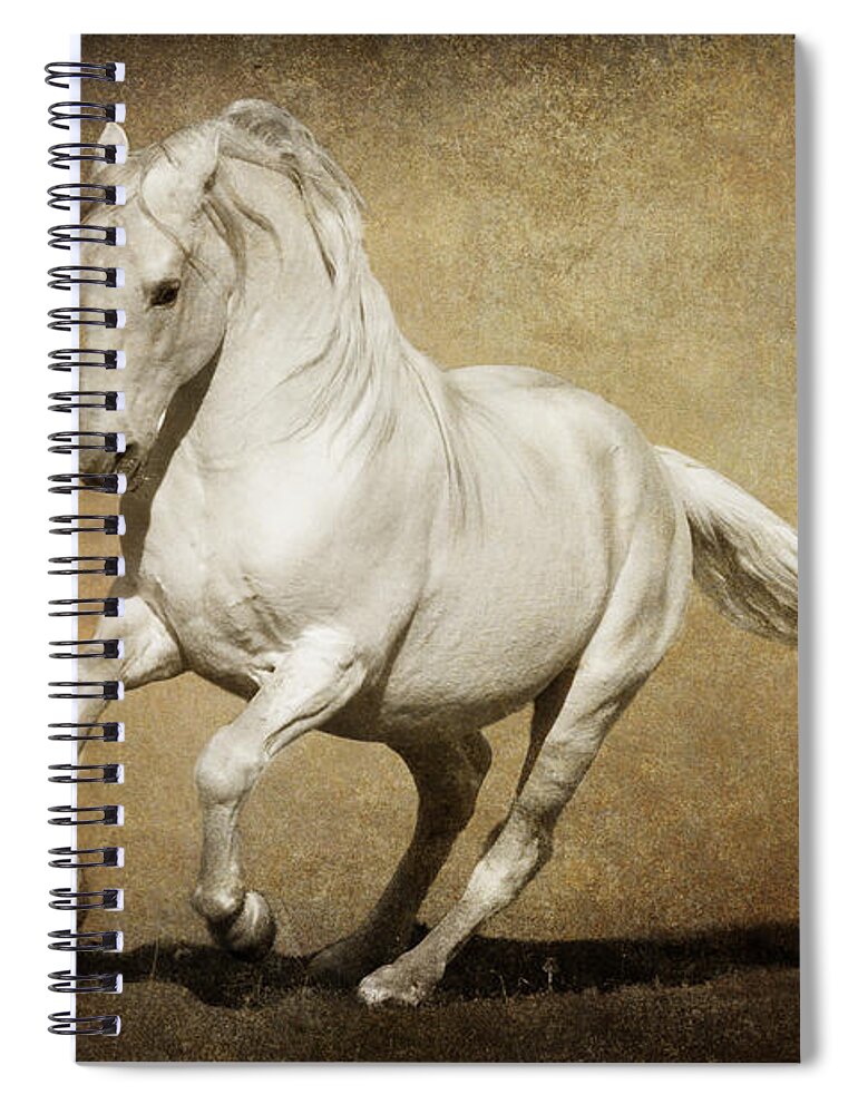 Full Steam Ahead Spiral Notebook featuring the photograph Full Steam Ahead by Wes and Dotty Weber