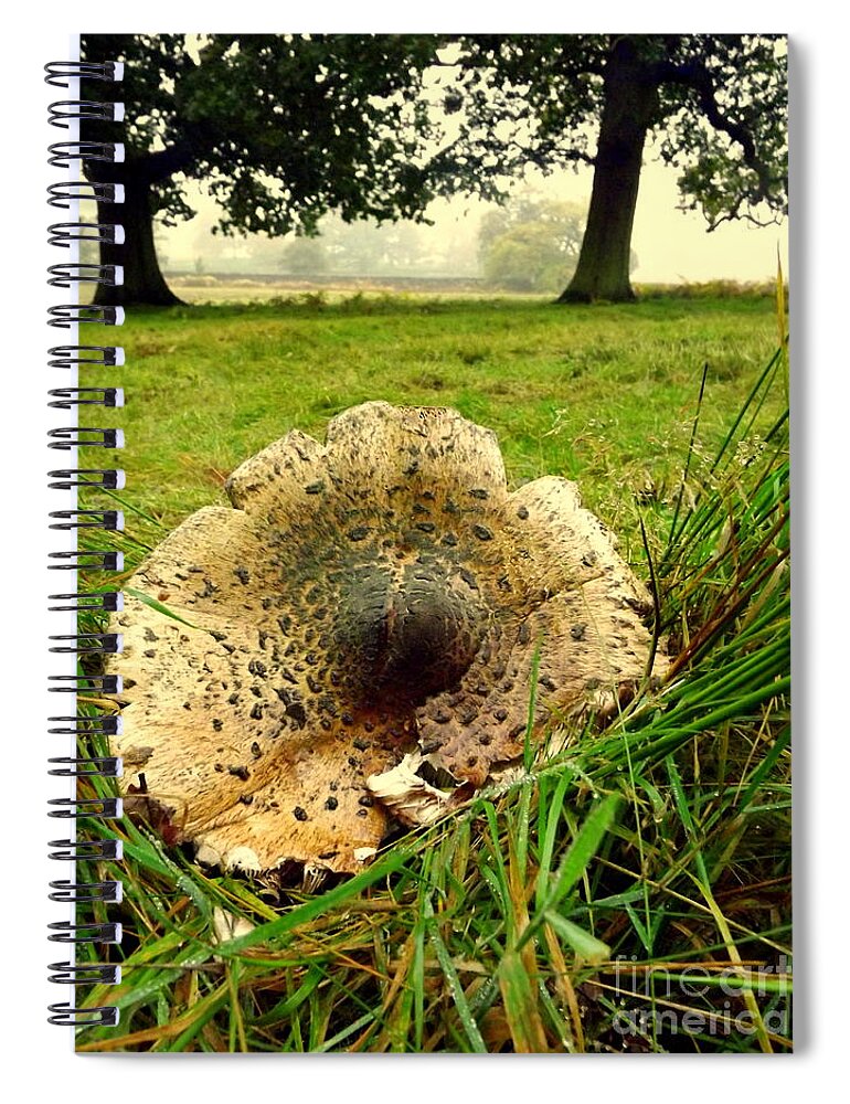 Fungii Spiral Notebook featuring the photograph Fun-Guy by Linsey Williams