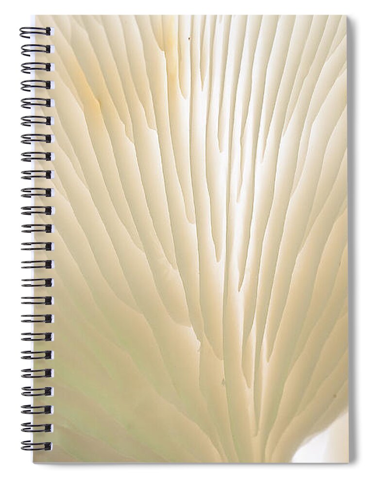 Ridgeway Spiral Notebook featuring the photograph Fungus by Steven Ralser