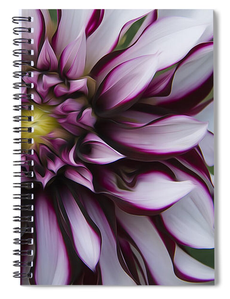 Dahlia Spiral Notebook featuring the photograph Garden Dahlia by Erika Fawcett