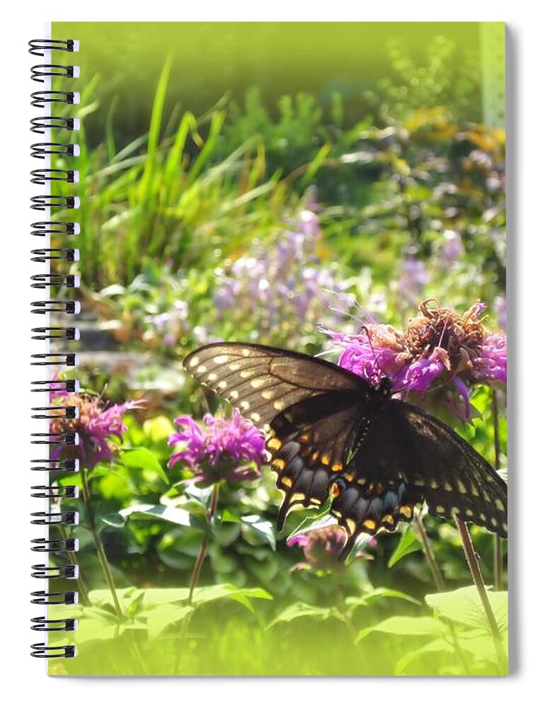 Swallowtail Butterfly Spiral Notebook featuring the photograph Garden Swallowtail by MTBobbins Photography