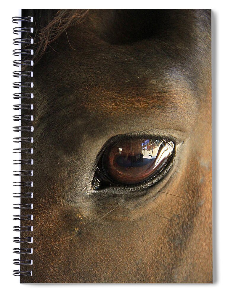 Horse Spiral Notebook featuring the photograph Gateway to a horses soul by Shoal Hollingsworth