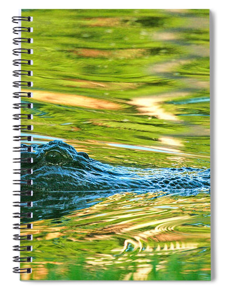 Seabrook Spiral Notebook featuring the photograph Gator in pond by Patricia Schaefer