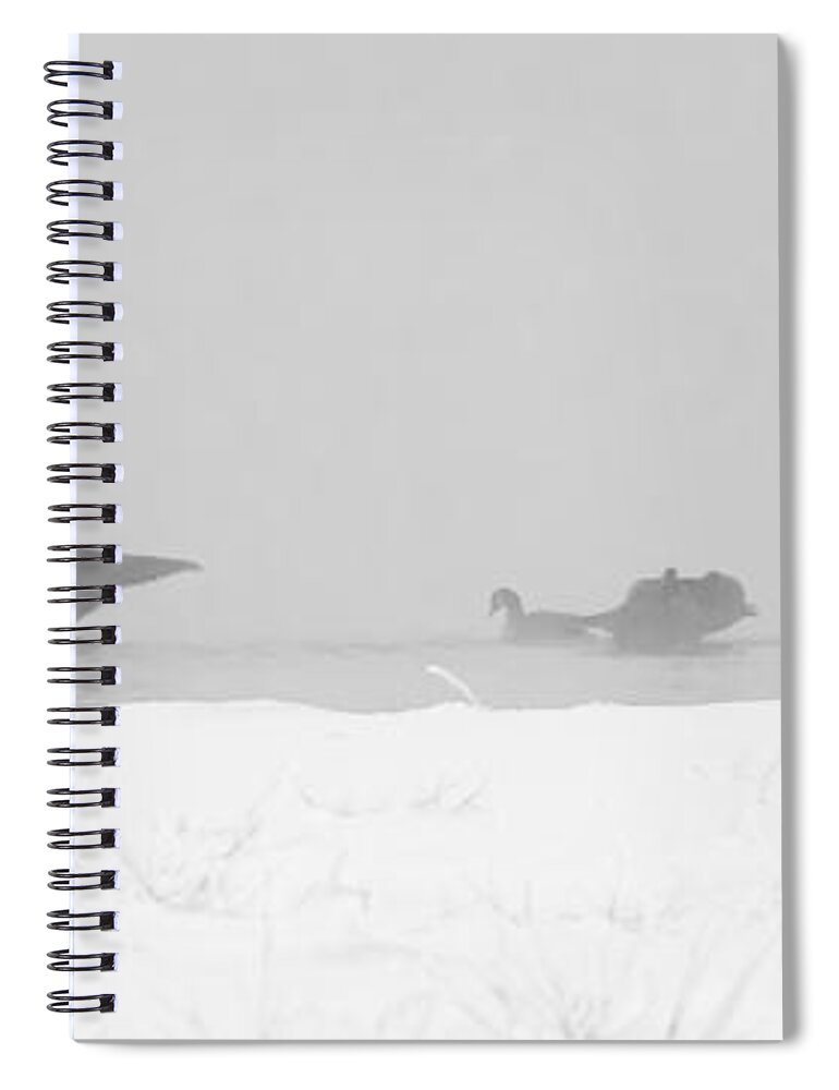 Geese Spiral Notebook featuring the photograph Geese by Steven Ralser