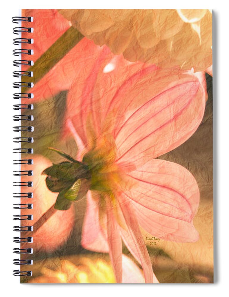Flower Spiral Notebook featuring the photograph Gentleness by Trish Tritz