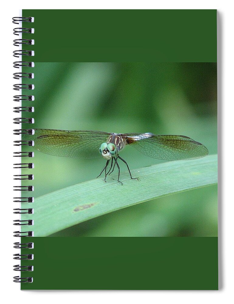 Dragonfly Spiral Notebook featuring the photograph Get a Grip by Cleaster Cotton