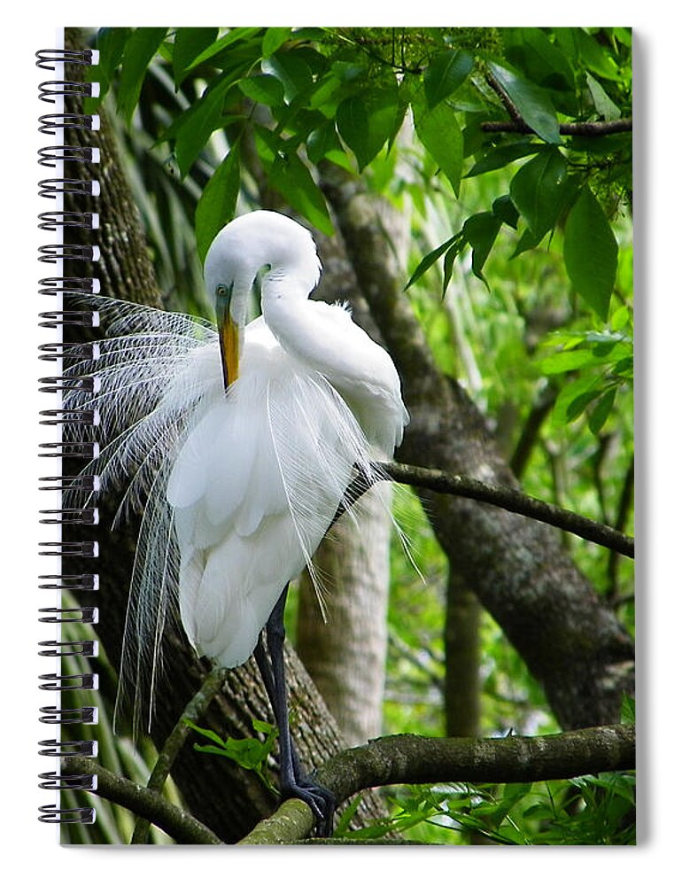 Nature Spiral Notebook featuring the photograph Getting Pretty by Judy Wanamaker